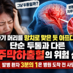 지주막하혈