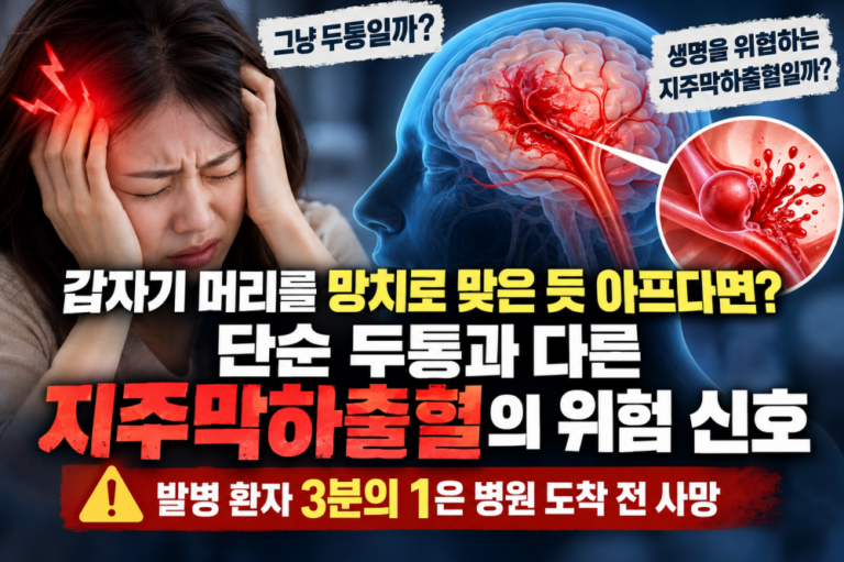 지주막하혈
