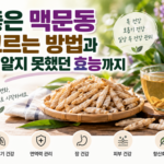 맥문동1