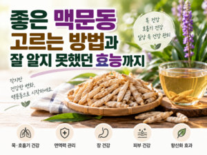 맥문동1